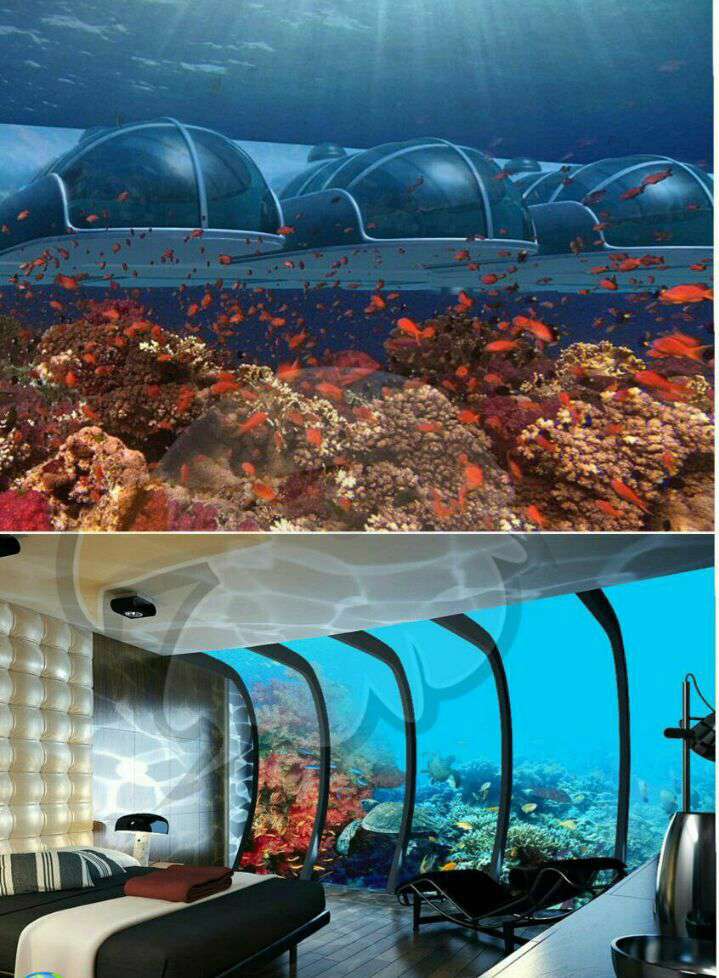 هتل پوزیدان در فیجی اولین هتل پنج ستاره است که در عمق 40 فوت زیر دریا ساخته شده، و مسافران این هتل حتی می توانند با دکمه ای که در اتاقشان تعبیه شده به ماهیها غذا دهند